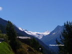 Eté 2008