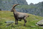 Eté 2009