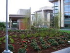 USA 2009